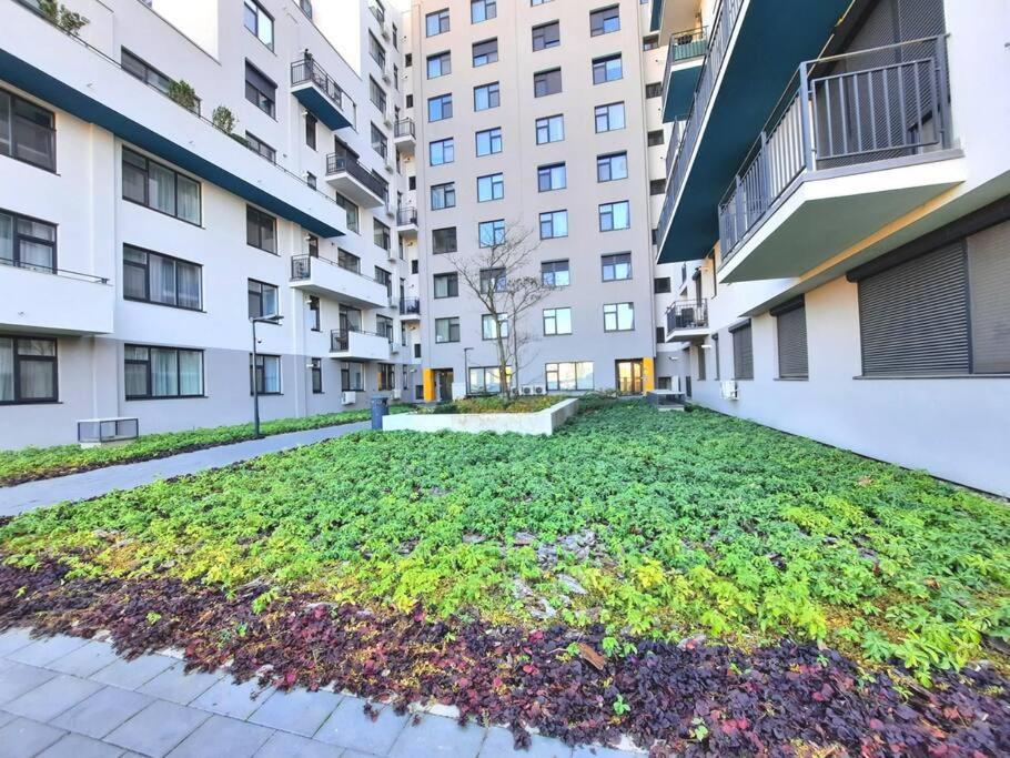 Beautiful Panoramic Central Apartment - City Of Mara Тимишоара Екстериор снимка