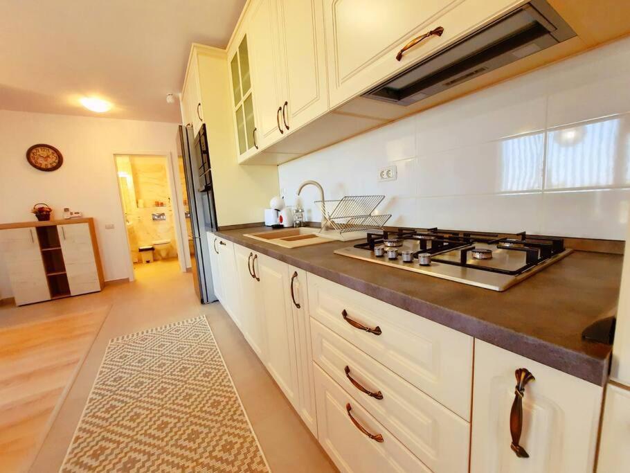 Beautiful Panoramic Central Apartment - City Of Mara Тимишоара Екстериор снимка